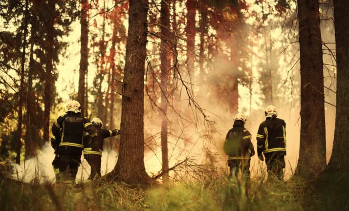В Чеченской Республике проходят мероприятия по профилактике пожарной безопасности