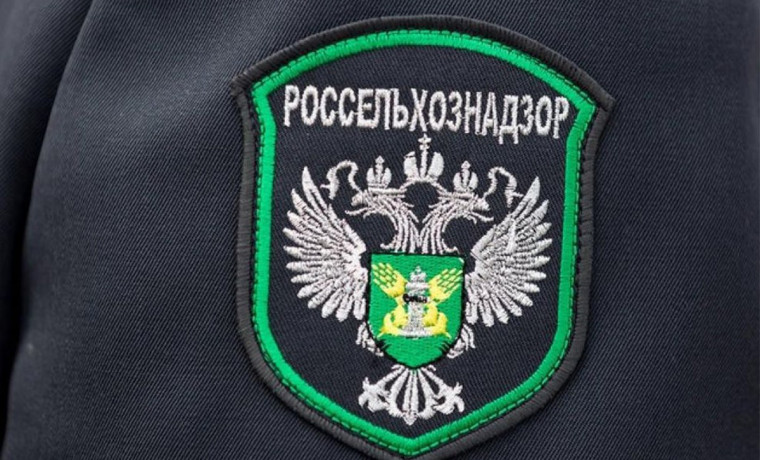Меры по усилению биобезопасности предприятий ЧР обсудили в Россельхознадзоре