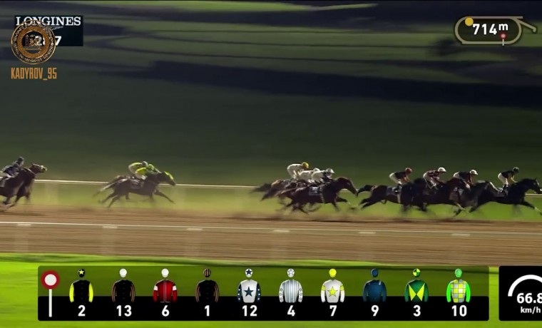 Российский скакун установил новый рекорд на ипподроме "Мейдан" в ОАЭ