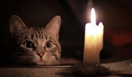 «Чеченэнерго» информирует о следующих временных отключениях электроэнергии