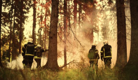В Чеченской Республике проходят мероприятия по профилактике пожарной безопасности