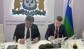 Для Чеченской Республики разработают стратегию развития энергетического комплекса