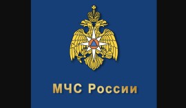 МЧС России опровергло слухи о запрете телефонов на АЗС