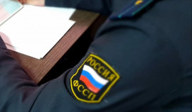 С жительницы Грозного взыскали более 100 тыс руб за продажу игрушек с нарушением авторских прав