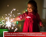 В Чечне не зарегистрировано ни одного случая возникновения пожара от применения пиротехники