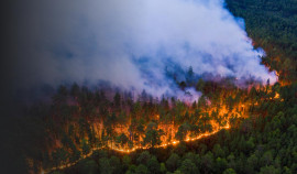 Росгидромет: высокая и чрезвычайная пожароопасность сохраняется в регионе