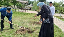 В Алпатовском социально-оздоровительном центре прошла акция «Уютный дом»