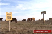 Саперы в Чечне подводят итоги за текущий год 