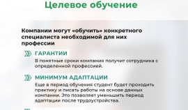 Нацпроект «Кадры»: что бизнесу нужно знать уже сегодня