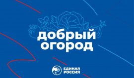 В России запустили акцию по сбору и доставке семян и саженцев на Донбасс