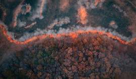 Минприроды ЧР продолжает прием заявок на конкурс 