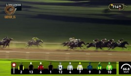 Российский скакун установил новый рекорд на ипподроме 