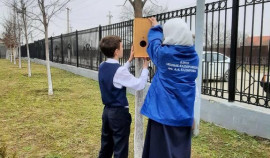 В Ачхой-Мартановском районе завершилась акция «Весенняя неделя добра»