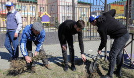 В Чеченской Республике стартовала акция по посадке молодых деревьев