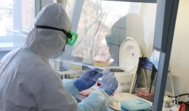 Роспотребнадзор заявил о формировании двух новых вариантов коронавируса в России