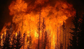 14 июля на территории Чеченской Республики ожидается чрезвычайная и высокая пожароопасность