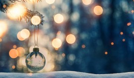 В России стартовал новогодний сезон «Экотрекера зеленых привычек»