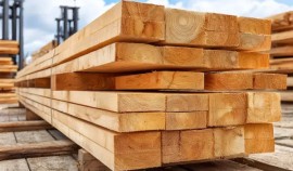 Хозяйствующие субъекты ЧР получили предостережения за нарушение карантинного законодательства