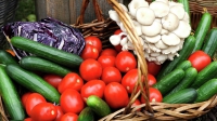 В России принят национальный стандарт на органическую продукцию