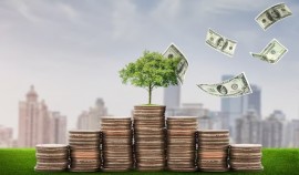 Тимур Алиев: туристическая отрасль Чеченской Республики испытывает наибольший подъем