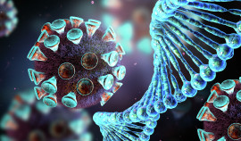 Роспотребнадзор: дети не обязаны сдавать ПЦР-тесты