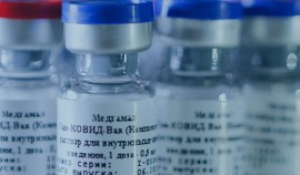 Производители запускают массовое производство вакцины 