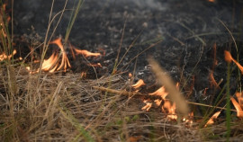 Чеченский ЦГМС предупреждает о высокой пожароопасности в северо-восточных районах