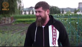 Рамзан Кадыров организовал масштабный сбор урожая