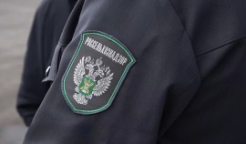 В Грозном обсудили вопросы фитосанитарного контроля на воздушном пункте пропуска