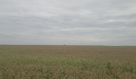 Россельхознадзор проверил более 6 тысяч гектаров земель ООО «Бадимо» в Чеченской Республике| грозный, чгтрк