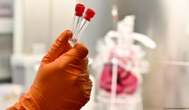 Суточный прирост новых заболевших COVID-19 в России составил 26 689 случаев