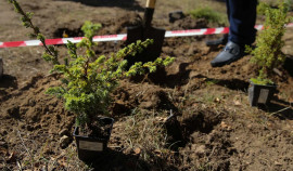 В двух парках Гудермеса прошли субботники