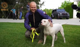 Спасенную на «Азовстали» собаку передали Рамзану Кадырову