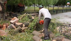 Во всех районах Грозного проходят субботники по устранению последствий непогоды