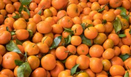 Россельхознадзор проконтролировал 65 т цитрусовых фруктов на границе Чеченской Республики