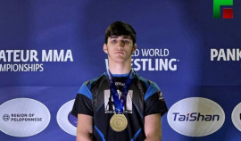 Спортсмены ЧР завоевали три медали на Первенстве мира по панкратиону в Греции