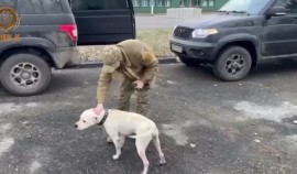 Рамзан Кадыров: «Собака - лучший друг человека»