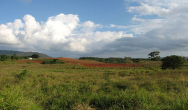 Россельхознадзор обязал ООО «ТЕРЕК» привести в порядок земли в ЧР