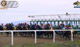 Рамзан Кадыров вместе с гостями побывал на скачках, посвященных 70-летию Владимира Путина