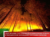 Удар молнии стал причиной возникновения пожара в Тебердинском заповеднике Карачаево-Черкесии