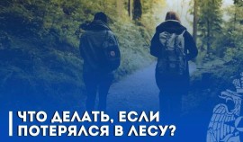 Спасатели объяснили, как правильно действовать в лесу в экстренной ситуации| грозный, чгтрк