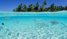 Температура поверхности Мирового океана рекордно нагрелась