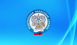 В России стартовала кампания по декларированию доходов, полученных в 2025 году