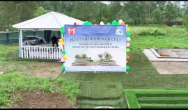 В Курчалое прошел Республиканский слет юных натуралистов и защитников природы