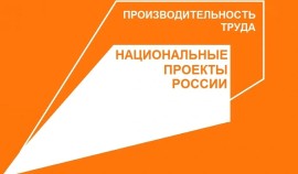 Социальную сферу включили в мероприятие федерального проекта «Производительность труда»