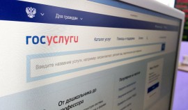 Госуслуги будет информировать самозанятых о кредитно-гарантийной поддержке