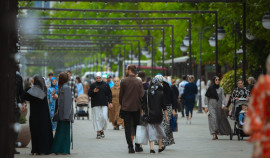 Уровень безработицы в Чеченской Республике снизился до 4%