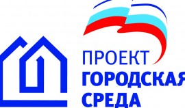 Волонтеры партпроекта 