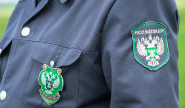 Россельхознадзор напоминает о направлении уведомлений о побочных продуктах животноводства