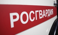 Росгвардия готова жестко действовать в случае провокаций на выборах-2018